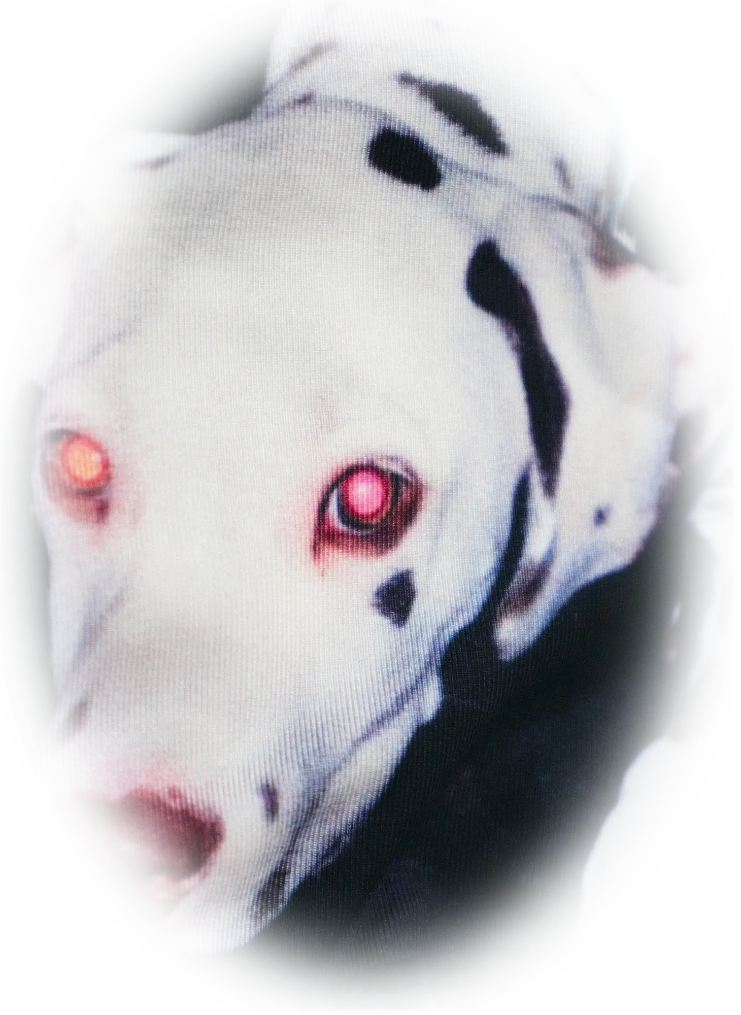 dalmata bikini detail