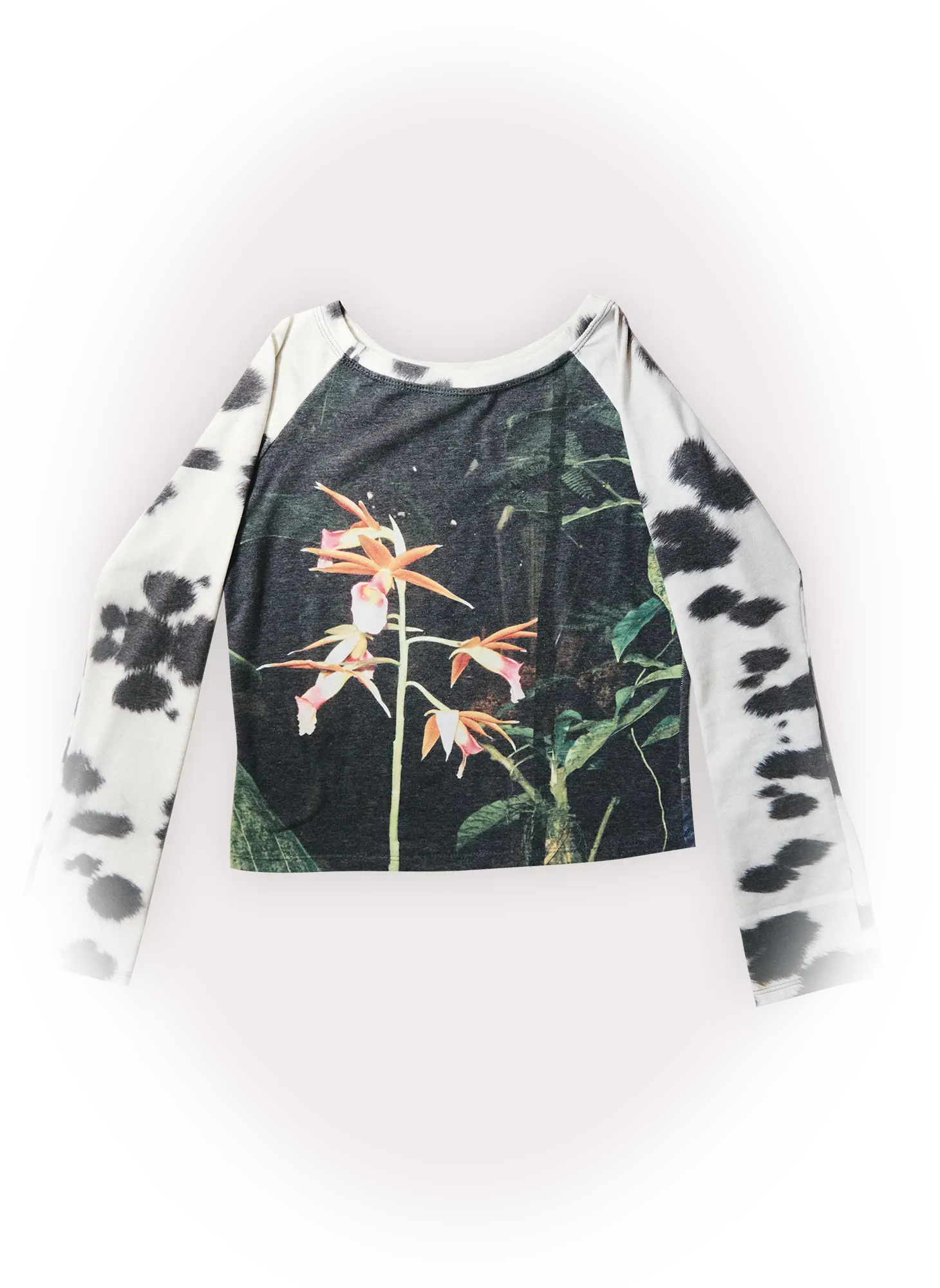 dalmata shirt backwebp
